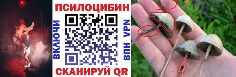 Псилоцибиновые грибы Cubensis  дарнет шоп  Ельня 